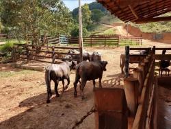 Fazenda para Venda em Paraibuna - 4