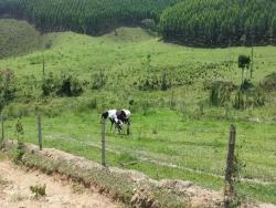 Fazenda para Venda em Paraibuna - 2