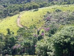 Fazenda para Venda em São José dos Campos - 2