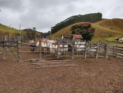 Fazenda para Venda em Natividade da Serra - 5