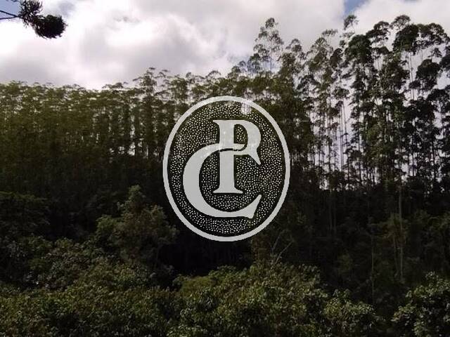 Sítio para Venda em São Luíz do Paraitinga - 5