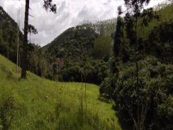 Sítio para Venda em São Luíz do Paraitinga - 4