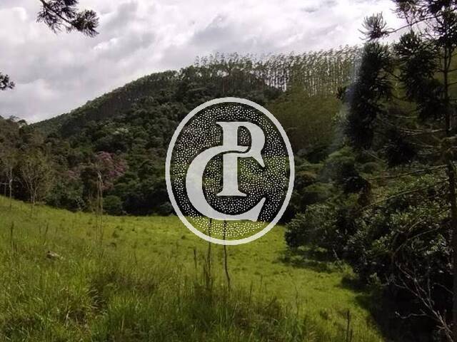 Sítio para Venda em São Luíz do Paraitinga - 4