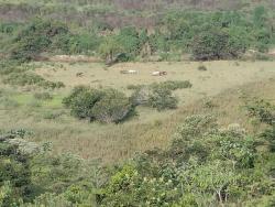 Fazenda para Venda em Redenção da Serra - 4