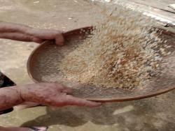 Chácara para Venda em Paraibuna - 4