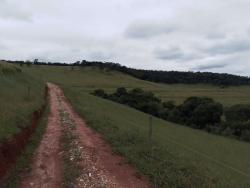 #168 - Fazenda para Venda em Dom Viçoso - MG
