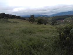 Fazenda para Venda em Dom Viçoso - 4