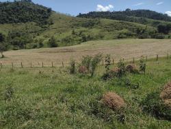 #169 - Fazenda para Venda em Canas - SP