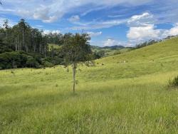 Sítio para Venda em Cunha - 4