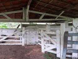 Sítio para Venda em Monteiro Lobato - 5