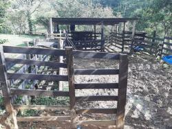 Sítio para Venda em Paraibuna - 4