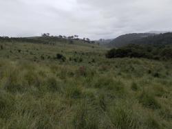 #178 - Fazenda para Venda em Itamonte - MG