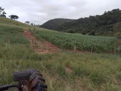 #178 - Fazenda para Venda em Itamonte - MG