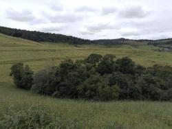 Fazenda para Venda em Itamonte - 4