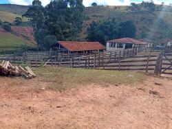 #180 - Fazenda para Venda em Aiuruoca - MG
