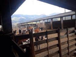 Fazenda para Venda em Aiuruoca - 4