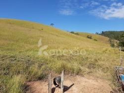 Sítio para Venda em Paraibuna - 3