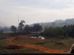 Fazenda para Venda em São Lourenço - 4