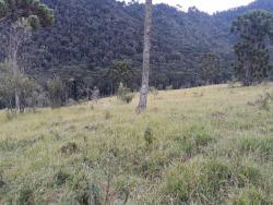 #188 - Fazenda para Venda em Passa Quatro - MG