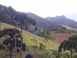 Fazenda para Venda em Passa Quatro - 5