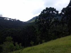 #188 - Fazenda para Venda em Passa Quatro - MG