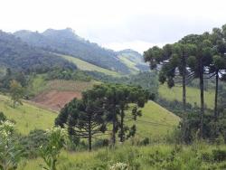Fazenda para Venda em Passa Quatro - 4