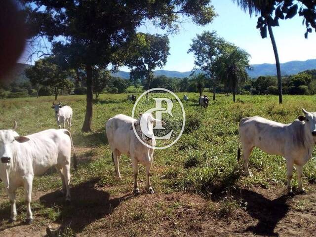 Fazenda para Venda em Acorizal - 4