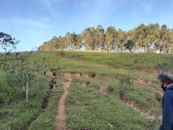 Sítio para Venda em Jambeiro - 4