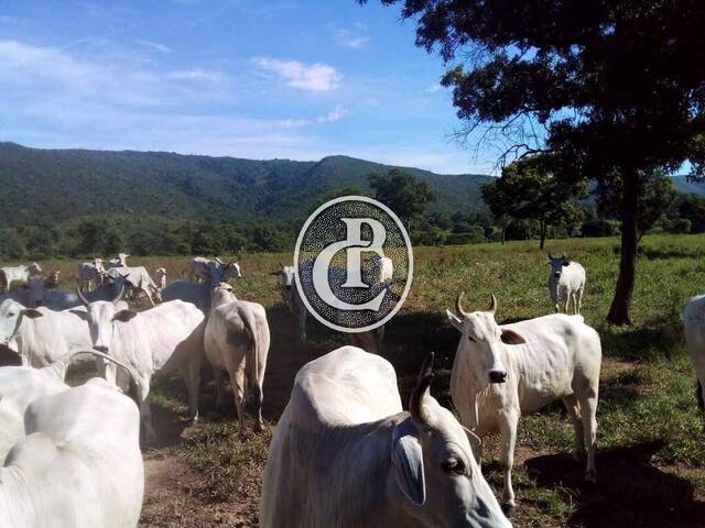 Fazenda para Venda em Acorizal - 2