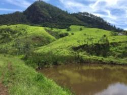 #196 - Fazenda para Venda em Cruzeiro - SP
