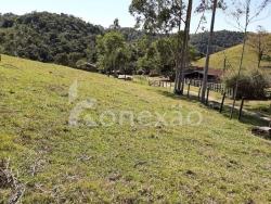 Sítio para Venda em Paraibuna - 5