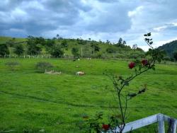 Venda em Villa Branca - Jacareí