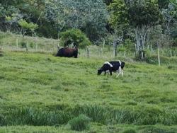 #203 - Sítio para Venda em Jacareí - SP