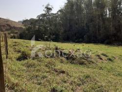 Sítio para Venda em Paraibuna - 3