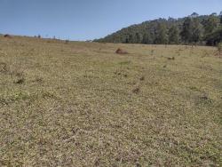 Sítio para Venda em São Luíz do Paraitinga - 4