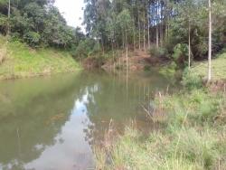 Chácara para Venda em Paraibuna - 3