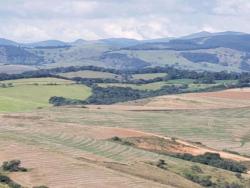 #226 - Fazenda para Venda em Aiuruoca - MG