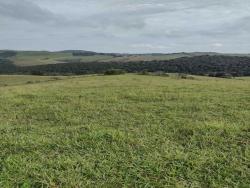 #226 - Fazenda para Venda em Aiuruoca - MG
