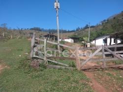 Fazenda para Venda em Taubaté - 4