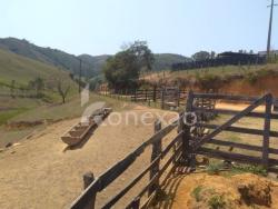 Fazenda para Venda em São Luíz do Paraitinga - 4