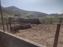 Fazenda para Venda em São José do Barreiro - 4