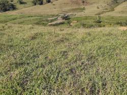 #232 - Fazenda para Venda em São José do Barreiro - SP