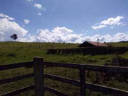 Sítio para Venda em Caçapava - 5
