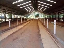 Venda em Centro - Lagoinha
