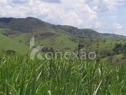 Fazenda para Venda em Caçapava - 5