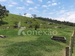 #256 - Fazenda para Venda em Caçapava - SP