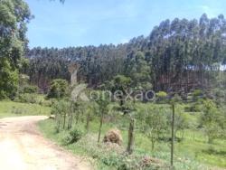 Fazenda para Venda em Paraibuna - 5