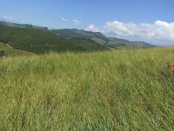 Sítio para Venda em Paraibuna - 4