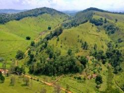 Fazenda para Venda em Santa Branca - 5