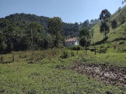 Fazenda para Venda em Cunha - 5